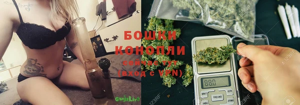 прущие грибы Медвежьегорск