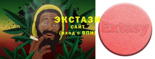 прущие грибы Медвежьегорск