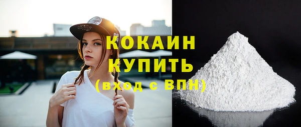прущие грибы Медвежьегорск