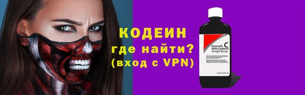 прущие грибы Медвежьегорск