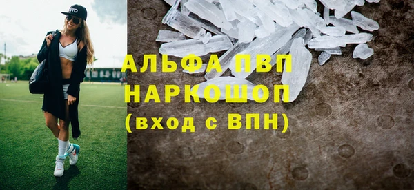 прущие грибы Медвежьегорск