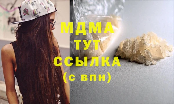 прущие грибы Медвежьегорск