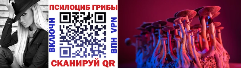Купить где  Меленки  Галлюциногенные грибы Cubensis 